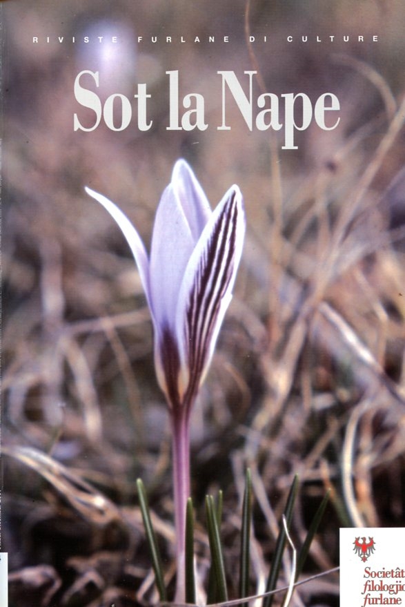 Miniatura copertina