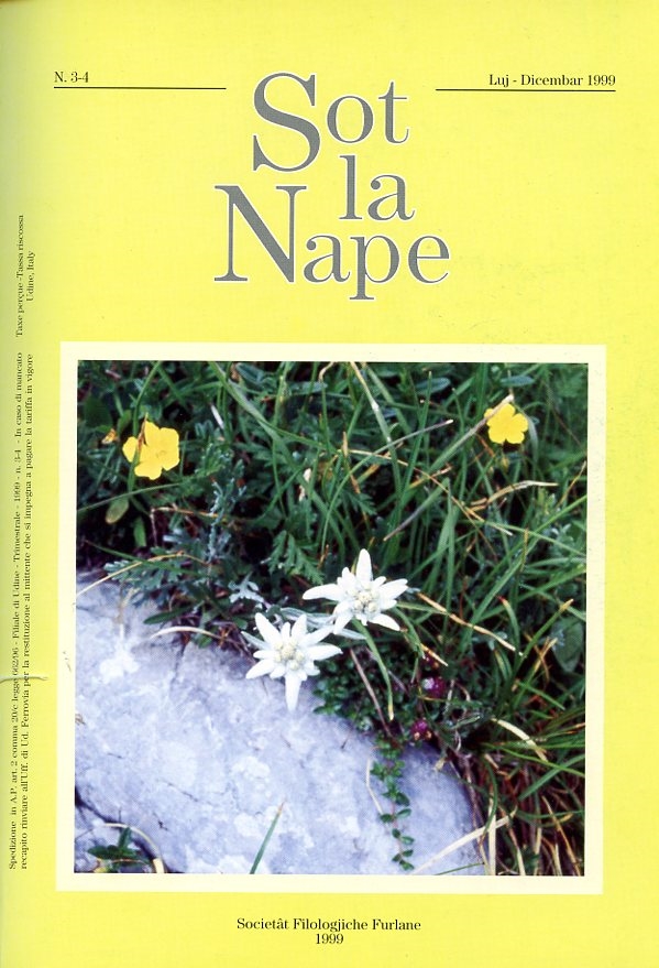 Miniatura copertina