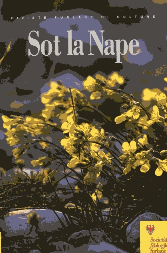 Copertina  Segnaletiche bilengâl
