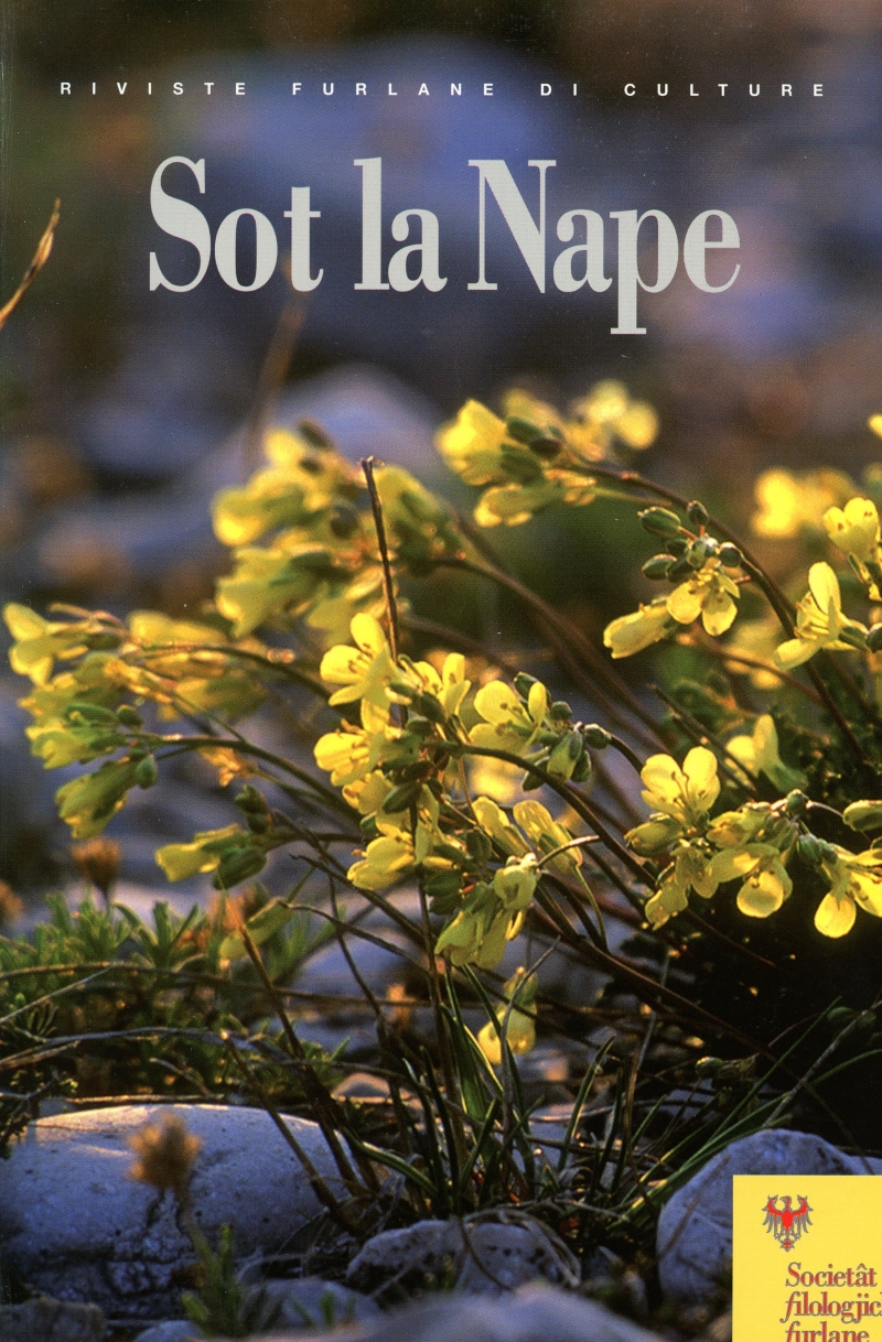 Copertina  La volta del coro gotico di Racchiuso